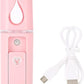 Mini Facial Steamer
