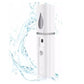 Mini Facial Steamer